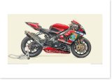 画像: 2007 SUZUKI GSX-R1000 (XRF4) - Yoshimura Suzuki with JOMO / B2版